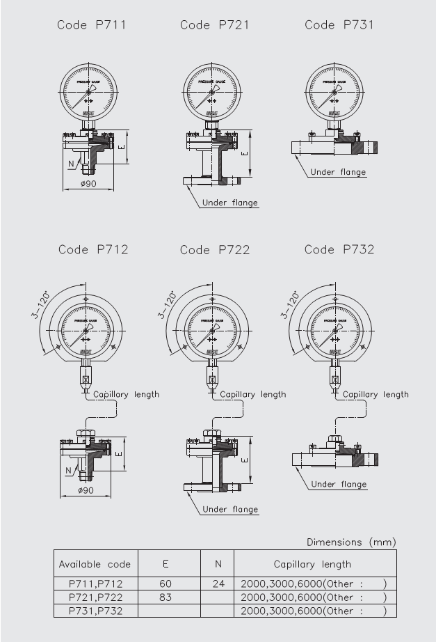 Đồng hồ áp suất màng WISE P710, P720, P730